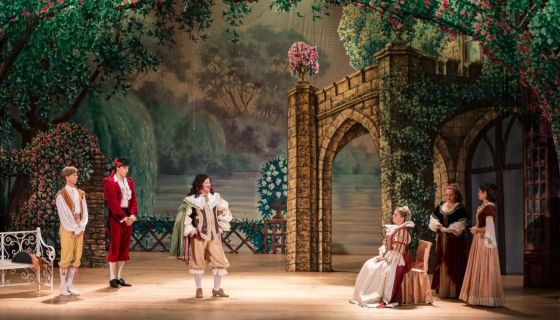 Мюзикл «Собака на сене»